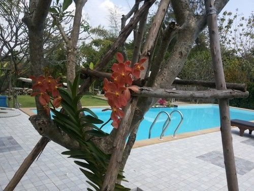 Kanvela Resort Kanchanaburi Eksteriør billede