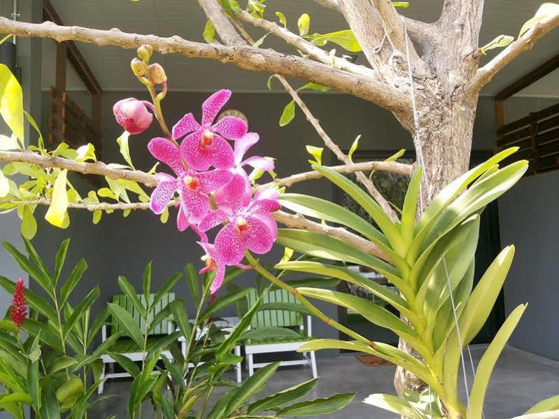 Kanvela Resort Kanchanaburi Eksteriør billede
